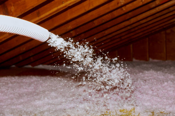 Best Energy Efficiency Solutions in Wentworth, NC