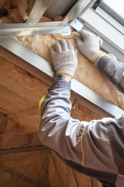 Best Commercial Insulation in Wentworth, NC