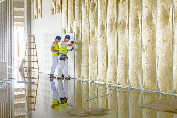 Best Types of Insulation in Wentworth, NC